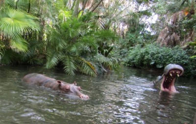 MFL Jungle Hippo