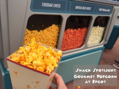 Snack Spotlight on Gourmet Popcorn at Epcot