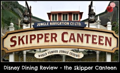 skipper canteen pin