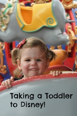 toddler to Disney