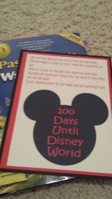 MFL Disney 100 Mom