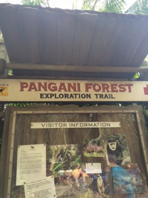 Pangani