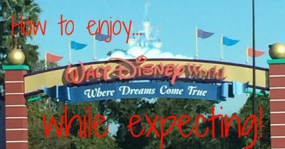 Walt Disney World While Expecting