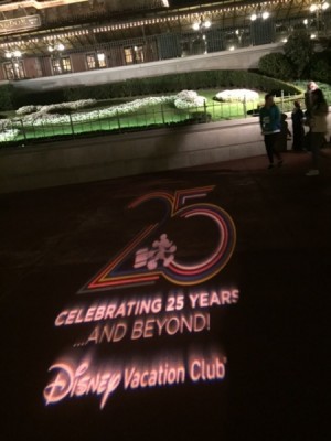 DVC party