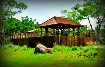 Lunch Pavilion