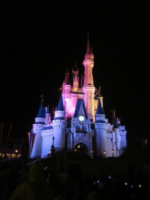 MFL DCWDW Sights