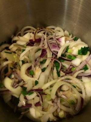 Onion Soup3