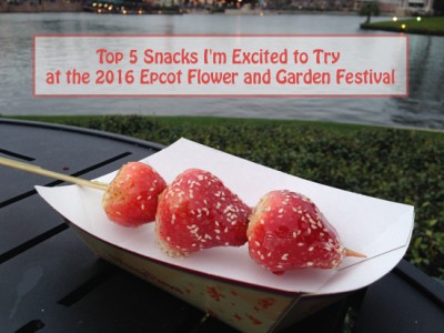 Top 5 Snacks I'm Excited to Try at the 2016 Epcot Flower and Garden Festival