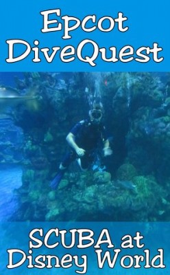 dive1