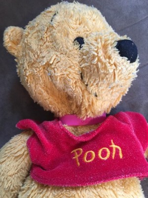 pooh close up