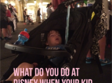 What do you do when your kid falls asleep at Disney?