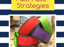 Fast Pass + Strategies