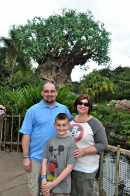 Tree of Life - Animal Kingdom