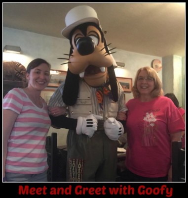 meeting Goofy