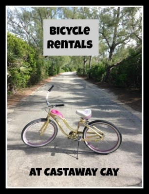 Bike Rental cover