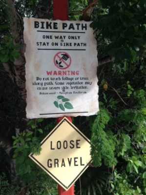 Castaway Cay Bike Path 1