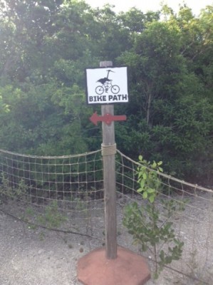 Castaway Cay Bike Path 2