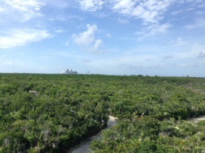 Castaway Cay Lookout Tower 2