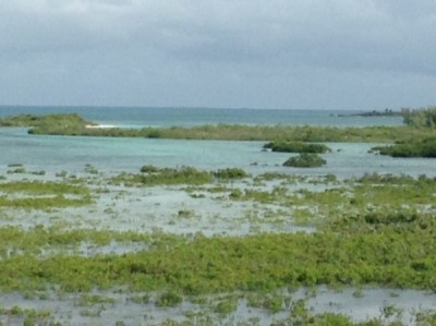 Castaway Cay lookout tower 3