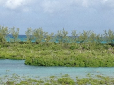 Castaway Cay view 1