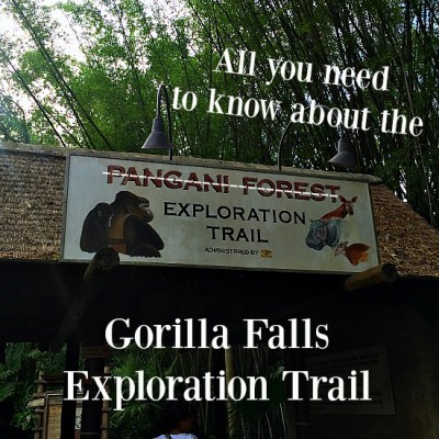 Gorilla Falls Exploration Trail - Entrance