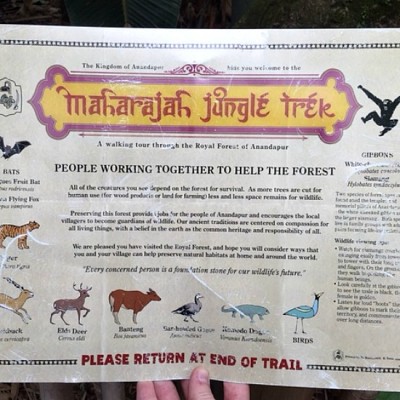 Maharajah Jungle Trek Map 2