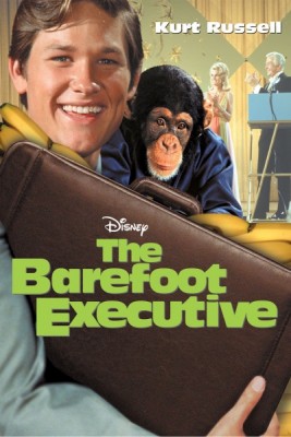 The Barefoot Executive DVD