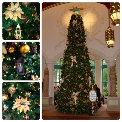 Coronado Springs Collage