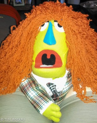 Muppet Wig Model