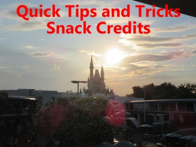 Disney Dining Plan Snack Credit Tips