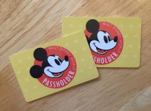 Annual Pass Cards
