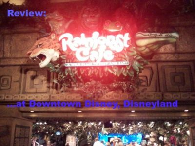 Rainforest Cafe Review