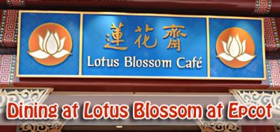 Dining at Lotus Blossom at Epcot