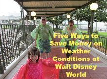 Five Ways to Save Money on Weather Conditions at Walt Disney World