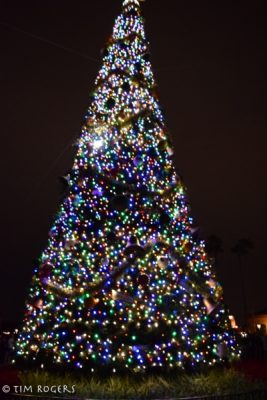 Epcot Tree