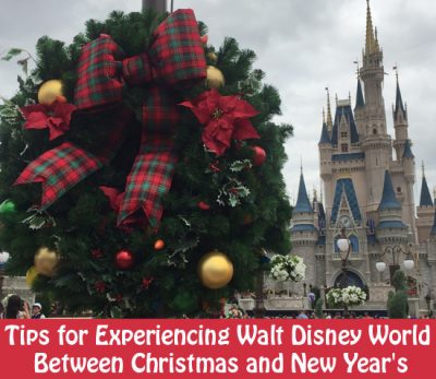 tips-for-experiencing-walt-disney-world-between-christmas-and-new-years