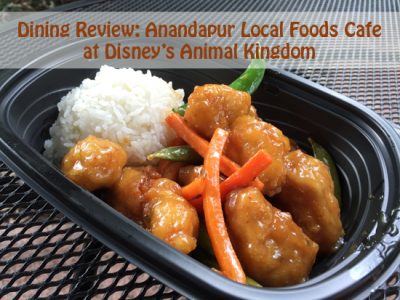 Anandapur Local Foods Cafe Dining Review