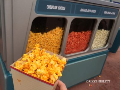 Epcot Popcorn