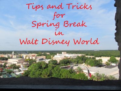 Tips and Tricks for Managing and Enjoying Spring Break in Walt Disney World