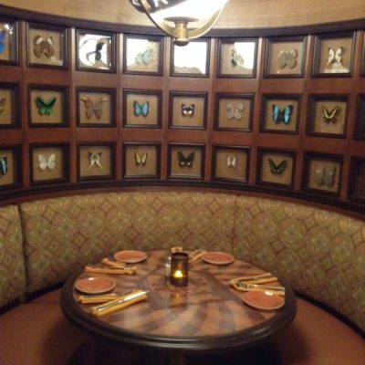 Skipper Canteen Butterfly Booth