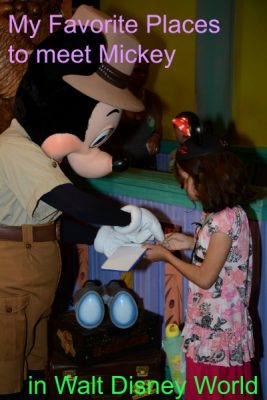 Meet Mickey at Walt Disney World