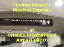 Finding Disney's Magical Express at Orlando International Airport (MCO)