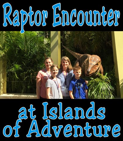 Raptor Encounter at Islands of Adventure