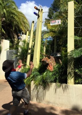 Raptor Encounter at Islands of Adventure