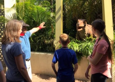 Raptor Encounter at Islands of Adventure