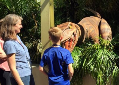 Raptor Encounter at Islands of Adventure