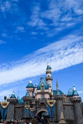 Sleeping Beauty Castle