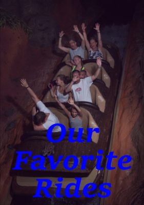 Our Favorite Rides During Our Walt Disney World Vacation