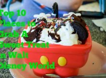 Top Ten Locations for a Sweet Treat at Walt Disney World