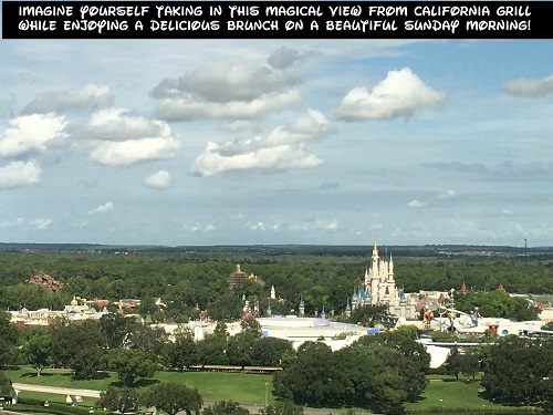 Contemporary Resort, California Grill, Brunch, Magic Kingdom View